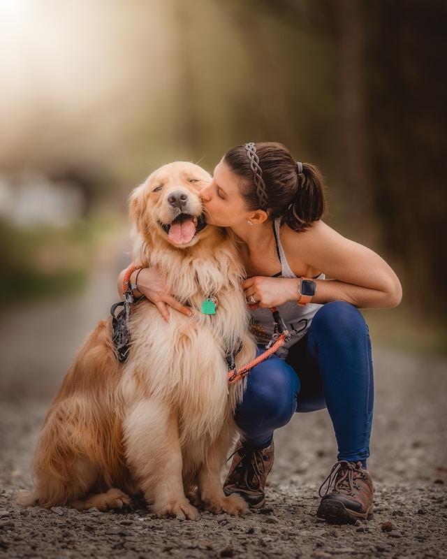 Dog First Aid Training for Dog Owners